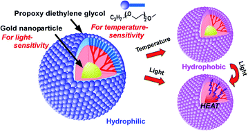 Graphical abstract: Dually functionalized dendrimers by temperature-sensitive surface modification and gold nanoparticle loading for biomedical application