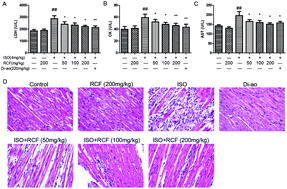 Graphical abstract: Red clover flavonoids protect against oxidative stress-induced cardiotoxicity in vivo and in vitro