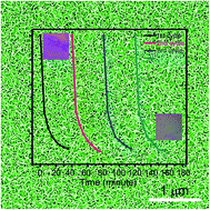 Graphical abstract: TiO2 nanosheet array thin film for self-cleaning coating