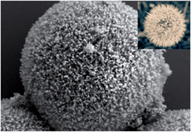 Graphical abstract: One-pot synthesis of novel Fe3O4/Cu2O/PANI nanocomposites as absorbents in water treatment