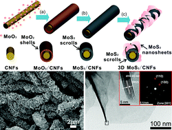 Graphical abstract: The design and construction of 3D rose-petal-shaped MoS2 hierarchical nanostructures with structure-sensitive properties