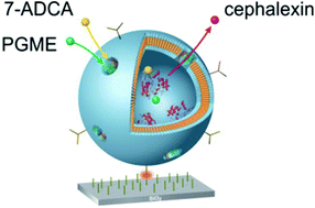 Graphical abstract: A general strategy for creating self-defending surfaces for controlled drug production for long periods of time
