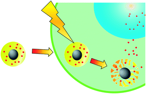 Graphical abstract: Development of a spatiotemporal method to control molecular function by using silica-based photodegradable nanoparticles