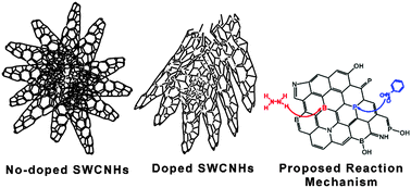 Graphical abstract: Synthesis and catalytic activity of heteroatom doped metal-free single-wall carbon nanohorns