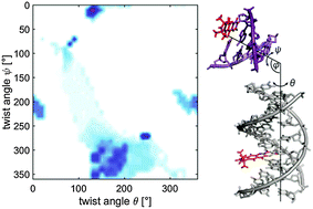 Graphical abstract: Flexibility and conformation of the cocaine aptamer studied by PELDOR