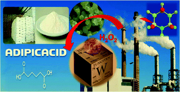 Graphical abstract: Nanoclusters of Cu(ii) supported on nanocrystalline W(vi) oxide: a potential catalyst for single-step conversion of cyclohexane to adipic acid