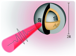 Graphical abstract: Superabsorption of light by nanoparticles