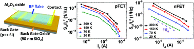 Graphical abstract: Mechanisms of current fluctuation in ambipolar black phosphorus field-effect transistors