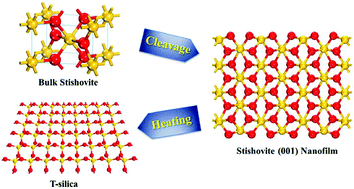 Graphical abstract: Thermal exfoliation of stoichiometric single-layer silica from the stishovite phase: insight from first-principles calculations