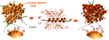 Graphical abstract: Biomass-derived carbonaceous positive electrodes for sustainable lithium-ion storage