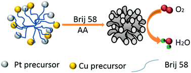 Graphical abstract: Highly branched PtCu bimetallic alloy nanodendrites with superior electrocatalytic activities for oxygen reduction reactions