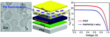 Graphical abstract: Trace surface-clean palladium nanosheets as a conductivity enhancer in hole-transporting layers to improve the overall performances of perovskite solar cells