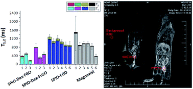 Graphical abstract: Magnetite/dextran-functionalized graphene oxide nanosheets for in vivo positive contrast magnetic resonance imaging