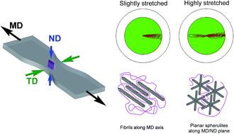 Graphical abstract: Three-dimensional orientation of poly(l-lactide) crystals under uniaxial drawing