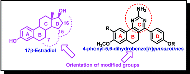 Graphical abstract: Synthesis of 4-phenyl-5,6-dihydrobenzo[h]quinazolines and their evaluation as growth inhibitors of carcinoma cells