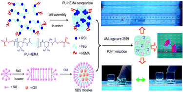 Graphical abstract: Double-crosslinked network design for self-healing, highly stretchable and resilient polymer hydrogels