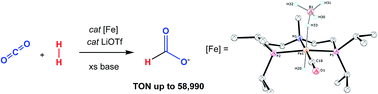 Graphical abstract: Iron catalyzed CO2 hydrogenation to formate enhanced by Lewis acid co-catalysts