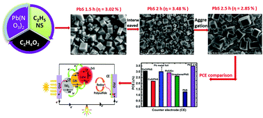 Graphical abstract: Enhanced photovoltaic performance and morphological control of the PbS counter electrode grown on functionalized self-assembled nanocrystals for quantum-dot sensitized solar cells via cost-effective chemical bath deposition
