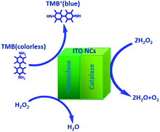 Graphical abstract: Dual enzyme mimicry exhibited by ITO nanocubes and their application in spectrophotometric and electrochemical sensing