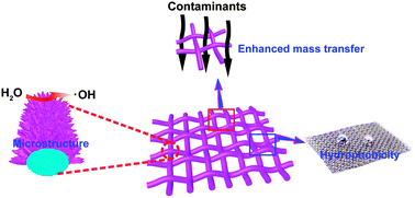 Graphical abstract: A hydrophobic three-dimensionally networked boron-doped diamond electrode towards electrochemical oxidation