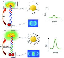 Graphical abstract: Distance mediated electrochemiluminescence enhancement of CdS thin films induced by the plasmon coupling of gold nanoparticle dimers