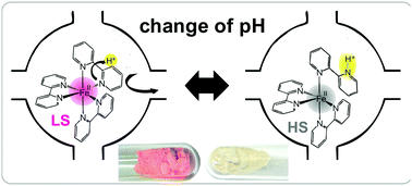 Graphical abstract: Proton-driven coordination-induced spin state switch (PD-CISSS) of iron(ii) complexes