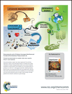 Graphical abstract: Inside back cover