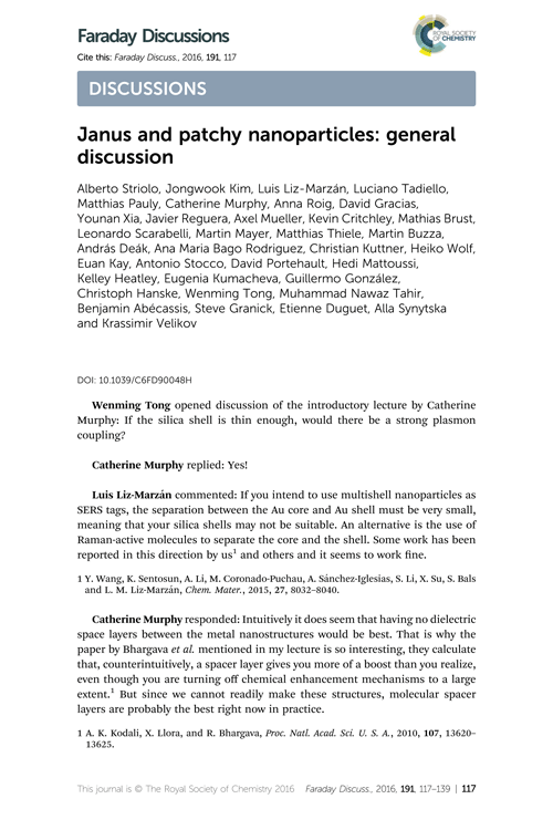 Janus and patchy nanoparticles: general discussion