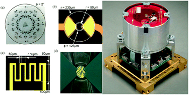 Graphical abstract: An autonomous lab on a chip for space flight calibration of gravity-induced transcellular calcium polarization in single-cell fern spores