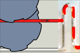 Graphical abstract: Phased peristaltic micropumping for continuous sampling and hardcoded droplet generation