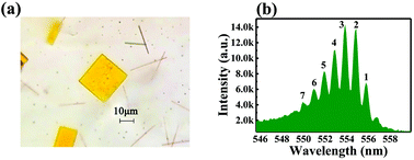 Graphical abstract: Tunable perovskite microdisk lasers