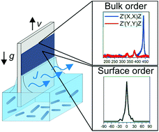 Graphical abstract: Polarized Raman scattering and SEM combined full characterization of self-assembled nematic thin films