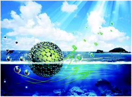 Graphical abstract: Phytic acid-derivative transition metal phosphides encapsulated in N,P-codoped carbon: an efficient and durable hydrogen evolution electrocatalyst in a wide pH range