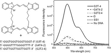 Graphical abstract: Selective recognition of G-quadruplexes by a dimeric carbocyanine dye