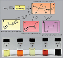 Graphical abstract: N-heterocyclic carbene induced reductive coupling of phosphorus tribromide. Isolation of a bromine bridged P–P bond and its subsequent reactivity