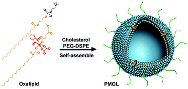 Graphical abstract: Phospholipid-mimic oxaliplatin prodrug liposome for treatment of the metastatic triple negative breast cancer
