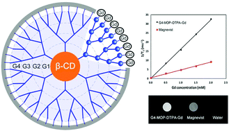 Graphical abstract: Enhancing MRI of liver metastases with a zwitterionized biodegradable dendritic contrast agent