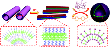 Graphical abstract: Water-soluble pillar[5]arene induced the morphology transformation of self-assembled nanostructures and had further application in paraquat detection