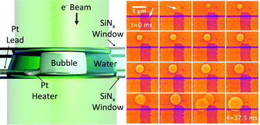 Graphical abstract: Thermally driven bubble evolution at a heater wire in water characterized by high-speed transmission electron microscopy