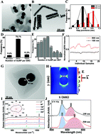 Graphical abstract: Silica-encapsulated gold nanoparticle dimers for organelle-targeted cellular delivery
