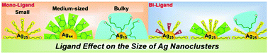 Graphical abstract: Effect of ligand structure on the size control of mono- and bi-thiolate-protected silver nanoclusters