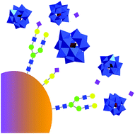 Graphical abstract: Polyoxometalates as sialidase mimics: selective and non-destructive removal of sialic acid from a glycoprotein promoted by phosphotungstic acid