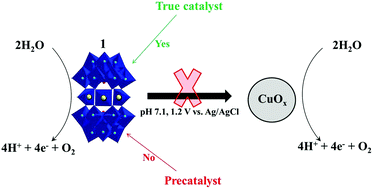 Graphical abstract: Homogeneous electrocatalytic water oxidation at neutral pH by a robust trinuclear copper(ii)-substituted polyoxometalate