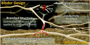 Graphical abstract: The emerging era of supramolecular polymeric binders in silicon anodes