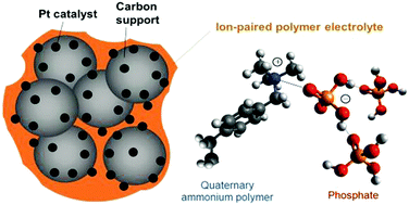 Graphical abstract: Intermediate temperature fuel cells via an ion-pair coordinated polymer electrolyte