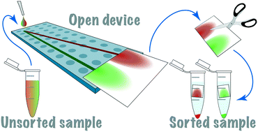 Graphical abstract: Open channel deterministic lateral displacement for particle and cell sorting