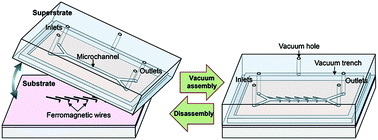 Graphical abstract: A disposable microfluidic device with a reusable magnetophoretic functional substrate for isolation of circulating tumor cells