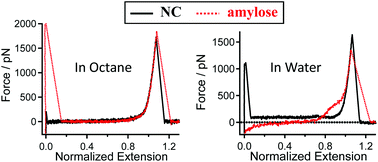 Graphical abstract: Hydrophilicities of amylose and natural cellulose are regulated by the linkage between sugar rings