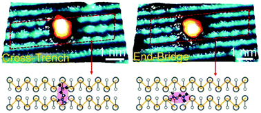 Graphical abstract: How a tertiary diamine molecule chelates the silicon dimers of the Si(001) surface: a real-time scanning tunneling microscopy study