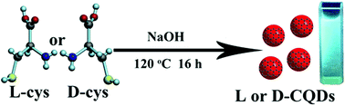 Graphical abstract: Nitrogen and sulfur co-doped chiral carbon quantum dots with independent photoluminescence and chirality